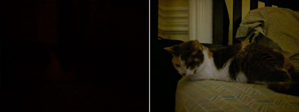 دوربین گوگل پیکسل 3