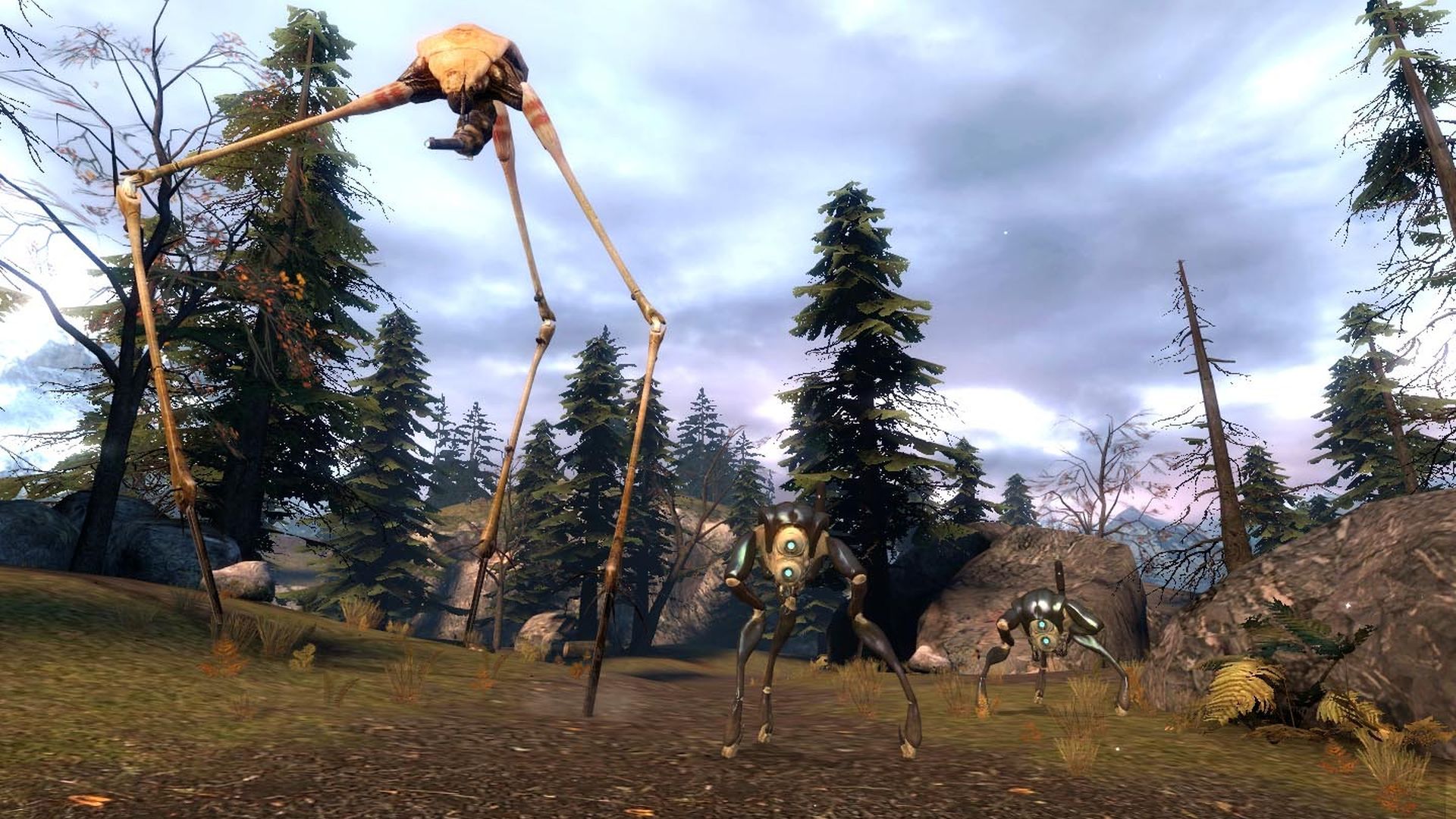 Half-Life