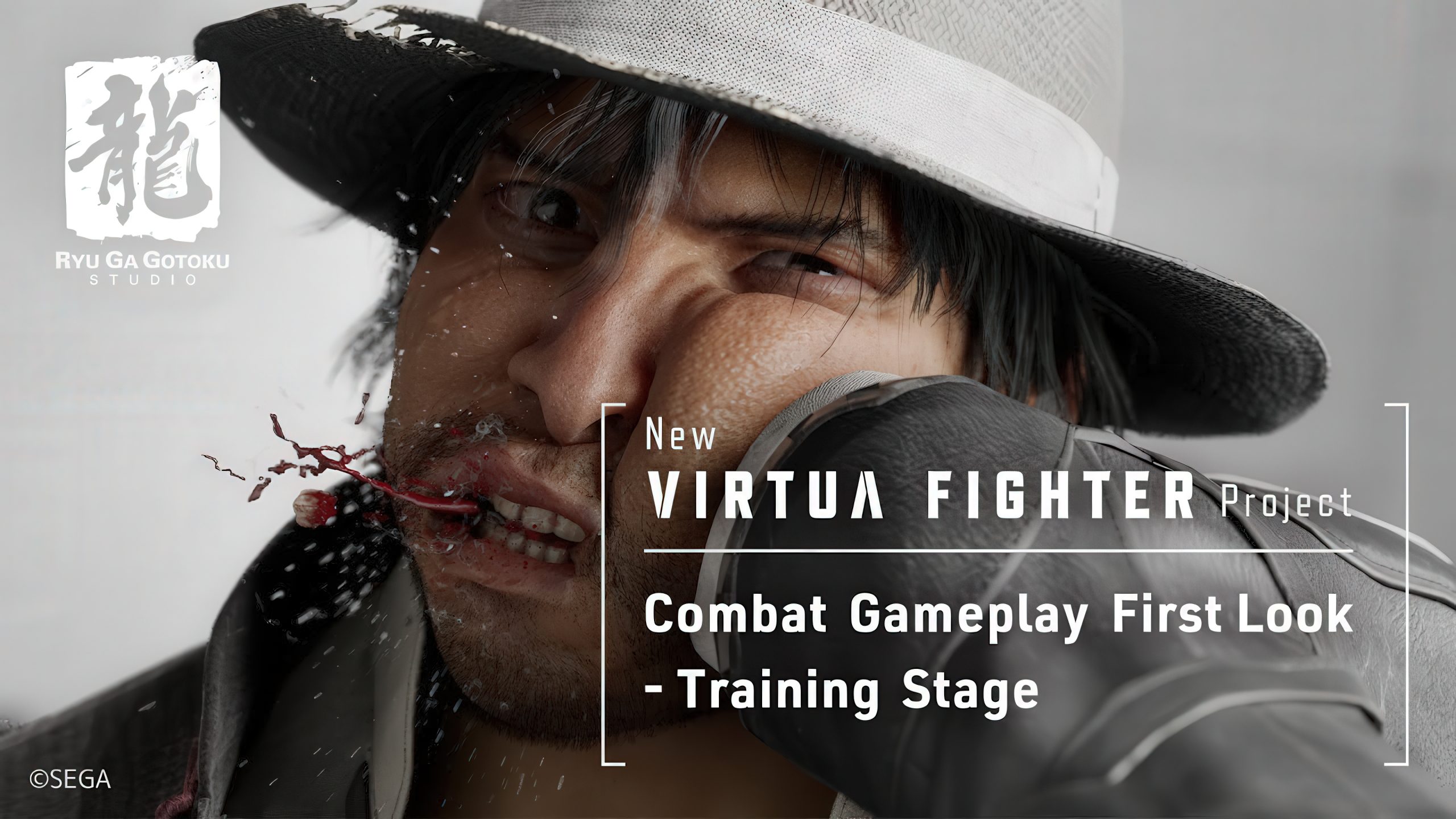 Virtua Fighter
