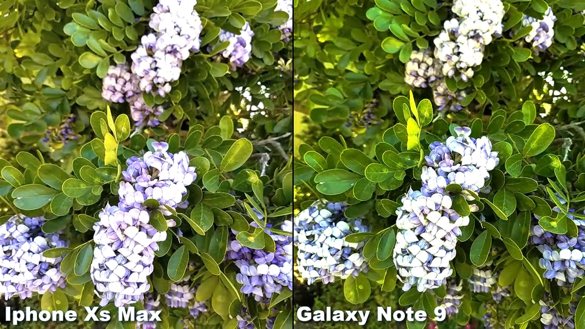 iPhone-Xs-Max-vs-Galaxy-Note-9-5