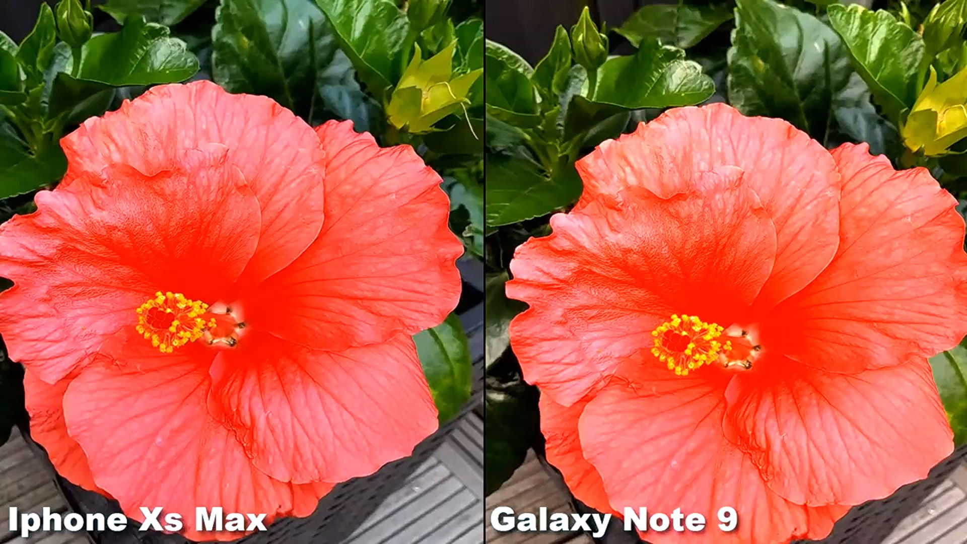 iPhone-Xs-Max-vs-Galaxy-Note-9-6